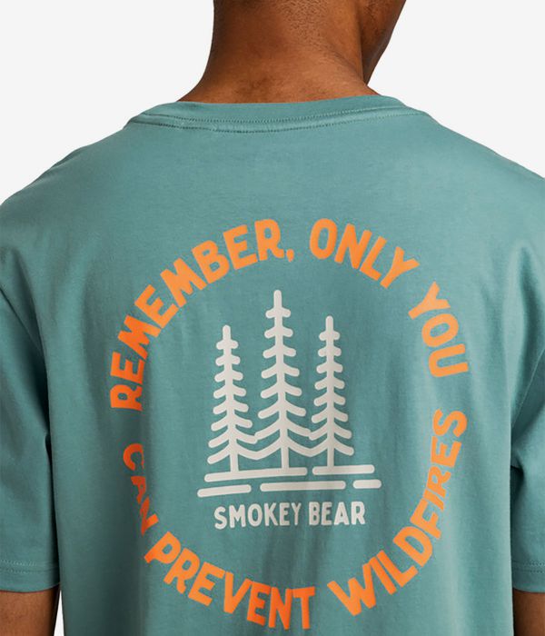 Element x Smokey Bear Remember T-Shirt (trellis)