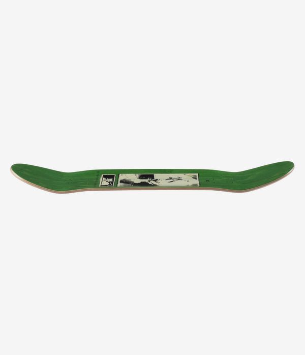 Carpet Company Guest Pro 8.5" Skateboard Deck (2026)