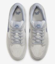 Nike SB Force 58 Chaussure (white ashedn slate sail wolf gre)