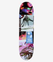 PALACE Lucien Pro S38 8.25" Planche de skateboard (multi)