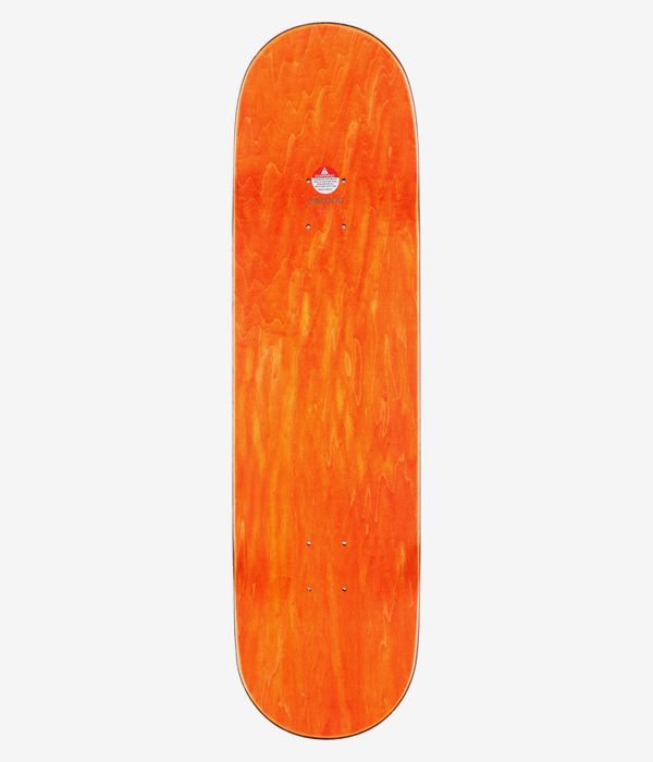 GX1000 Carlyle Bus 37 8.625" Planche de skateboard (multi)