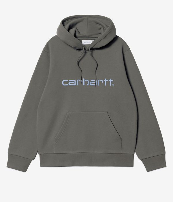Carhartt WIP Basic Hoodie (leaf tourmaline)