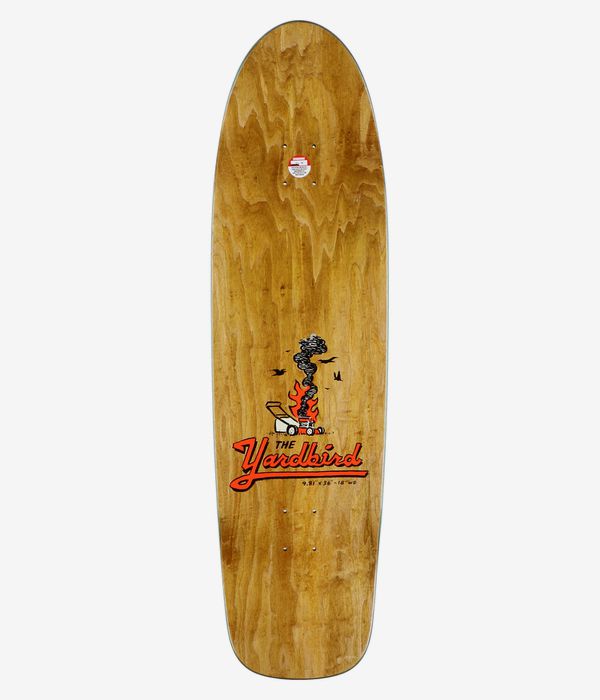 Anti Hero Team Jalopi Yardbird 9.81" Skateboard Deck (teal)
