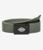 Dickies Orcutt Gürtel (sea spray)
