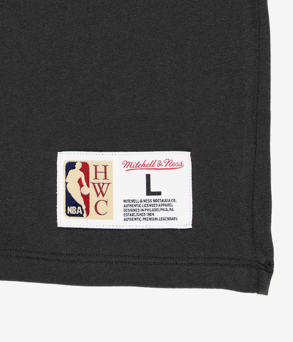 Mitchell & Ness Chicago Bulls Color Blocked T-Shirt (black)