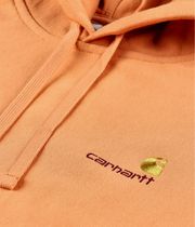 Carhartt WIP American Script Bluzy z Kapturem (redhaven)