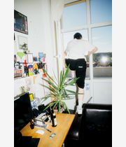 skatedeluxe Symmetry Shorts (black)