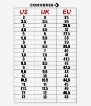 Converse CONS Chuck Taylor All Star Pro Shoes (thunder whale black white)