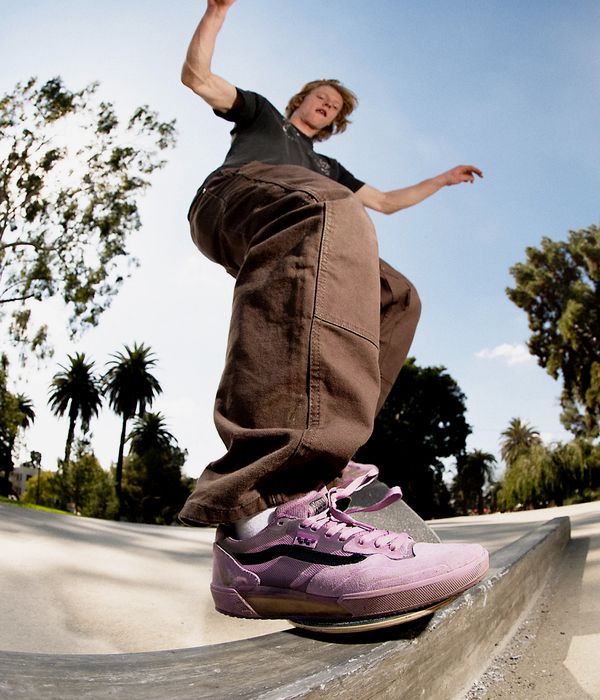 Vans Skate Drill Chore Ave Loose Carp Pants (chocolate brown)