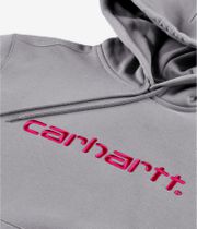Carhartt WIP Basic sweat à capuche (yosemite disco)