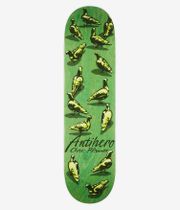Anti Hero Pfanner Dawn Of The Pigeon 8.25" Planche de skateboard (multi)