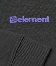 Element Joint Hoodie kids (off black 263)