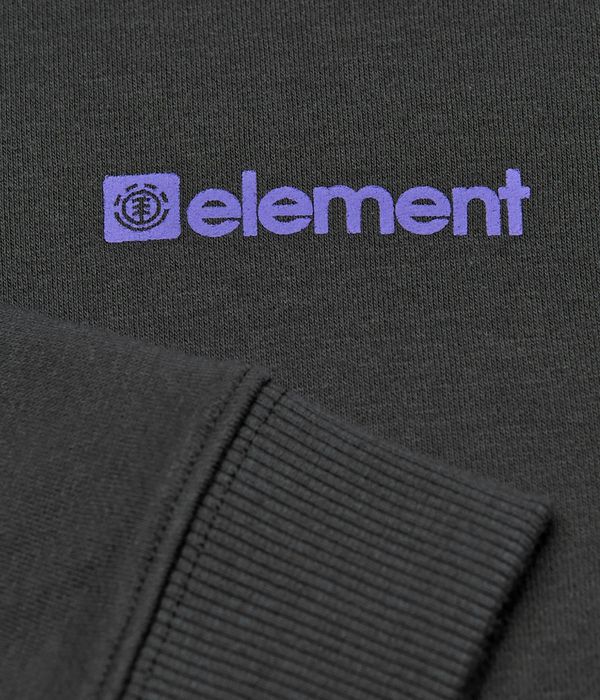 Element Joint Hoodie kids (off black 263)