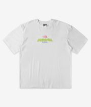 The North Face Expedition Celebration Oversized T-Shirt (tnf white)