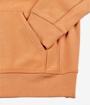 Carhartt WIP American Script Bluzy z Kapturem (redhaven)