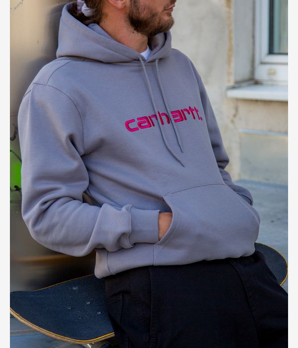 Carhartt WIP Basic Felpa Hoodie (yosemite disco)