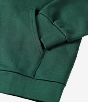 Iriedaily Mini Flag 2 Zip-Hoodie (bottle green)