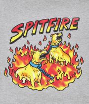 Spitfire Hell Hounds II Bluzy z Kapturem (heather grey)