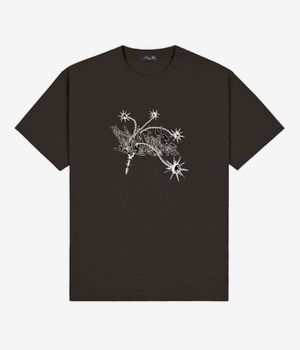 Dime Flail T-Shirt (vintage black)