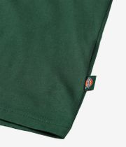 Dickies Mapleton T-shirt (pine needle green)