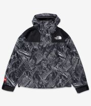 The North Face Dryvent Mono Mountain Jacket (tnf black 3D summit)
