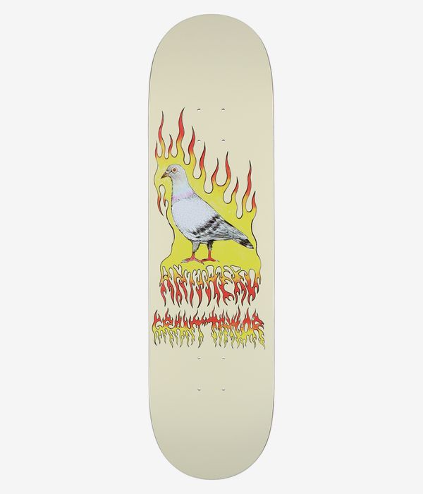 Anti Hero Grant Pigeon Vision 8.5" Planche de skateboard (cream)
