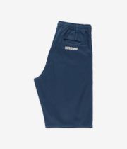 skatedeluxe Symmetry Shorts (navy)