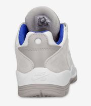 Nike SB Vertebrae Shoes (summit white cosmic clay)
