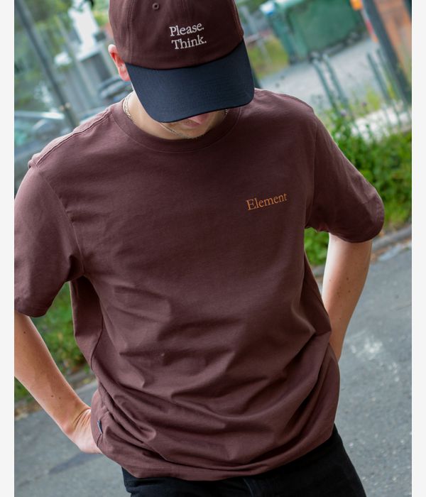 Element x Smokey Bear Prevent T-Shirt (bracken)