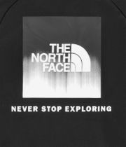 The North Face Raglan Redbox Felpa Hoodie (tnf black tnf black dip dye prin)