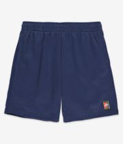 Nike SB GFX Shorts (midnight navy gym red)