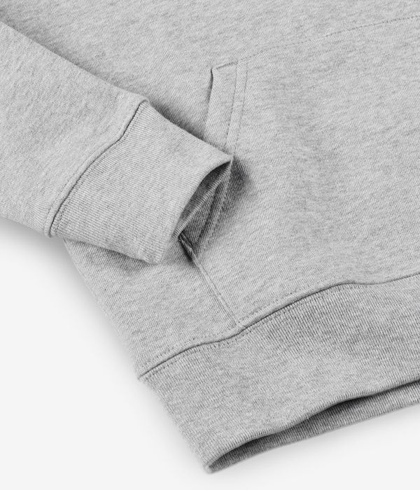 skatedeluxe World sweat à capuche kids (heather grey)