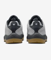 Nike SB Vertebrae Zapatilla (cool grey black cool grey dark g)