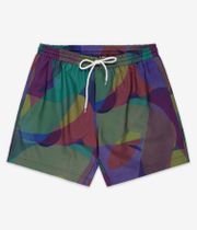 Iriedaily Stohead Crazy Fresh Shorts (dark teal)