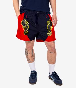 Iriedaily x Beatsteaks Shorts (navy red)