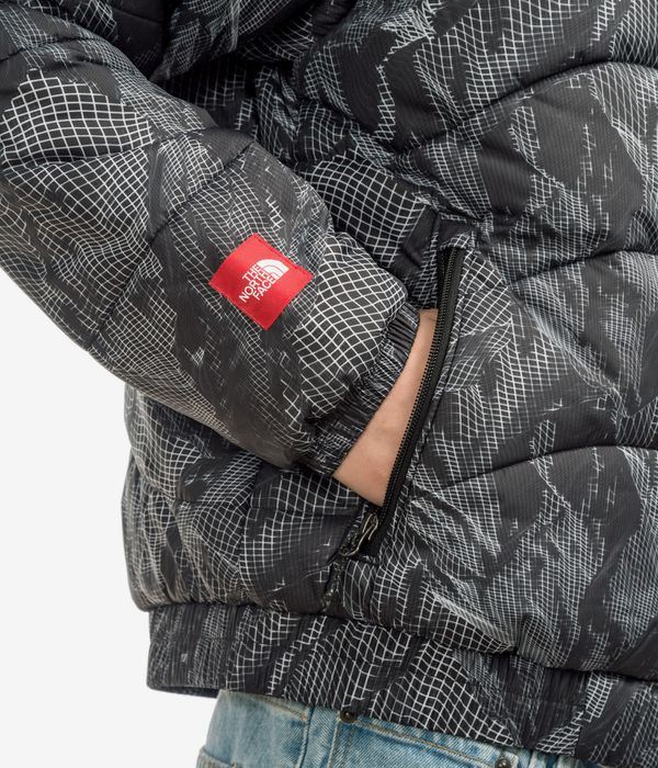 The North Face TNF 2000 Jacke (tnf black 3D summit)