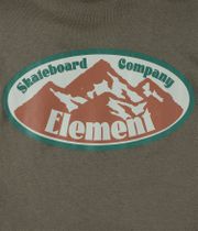 Element Epic Hoodie (kalamata)