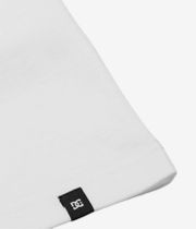 DC Painted Van T-Shirt (white)