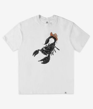 Nike ACG OC Scorpion T-Shirt (summit white)