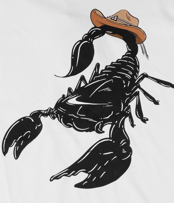 Nike ACG OC Scorpion T-Shirt (summit white)