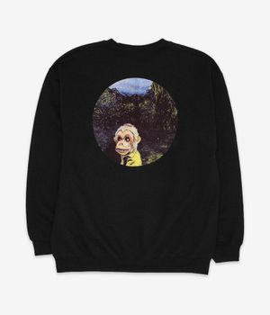 Fucking Awesome Landscape Brainscape Sweatshirt (black)