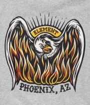 Element Phoenixx AZ sweat à capuche (grey heather)