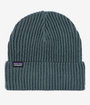 Patagonia Fishermans Rolled Beanie (nouveau green)