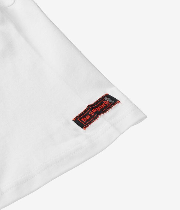 Nike SB Charcoal Dunk T-Shirt (white)