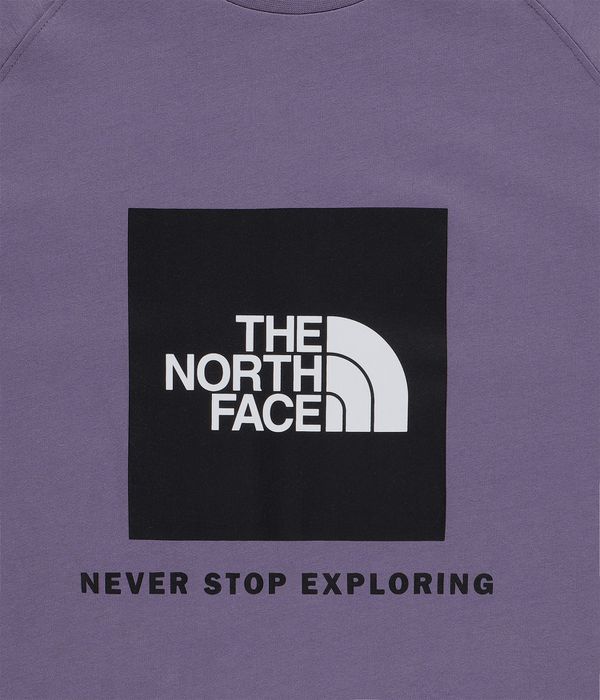 The North Face Raglan Redbox T-Shirty (lunar slate)