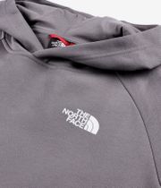 The North Face Raglan Redbox Felpa Hoodie (core logowear smoked pearl)