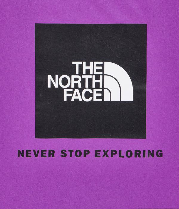 The North Face Raglan Redbox T-Shirt (purple cactus flower)