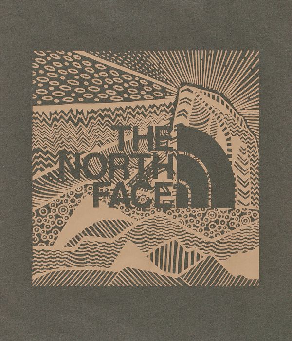 Khaki north face t store shirt