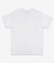 Thrasher Dropout T-Shirt (white)