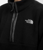 The North Face Fleeski 1/4-Zip Sweatshirt (tnf black)